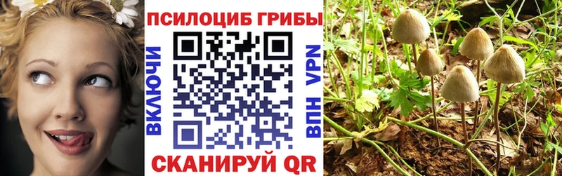 Галлюциногенные грибы MAGIC MUSHROOMS купить закладку Жигулёвск